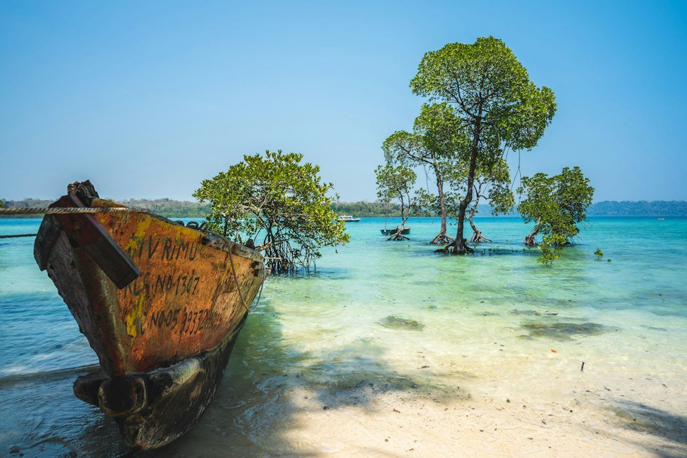 An old boat and trees standing in clear turquoise water, Andaman Islands