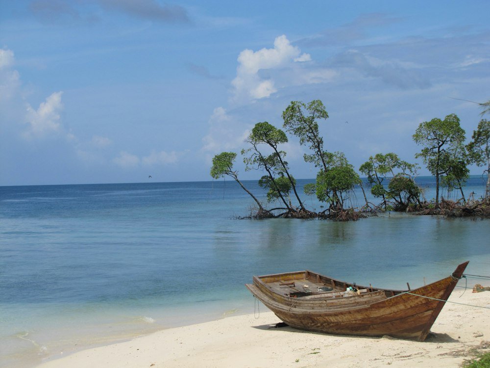 Havelock Island, Andaman