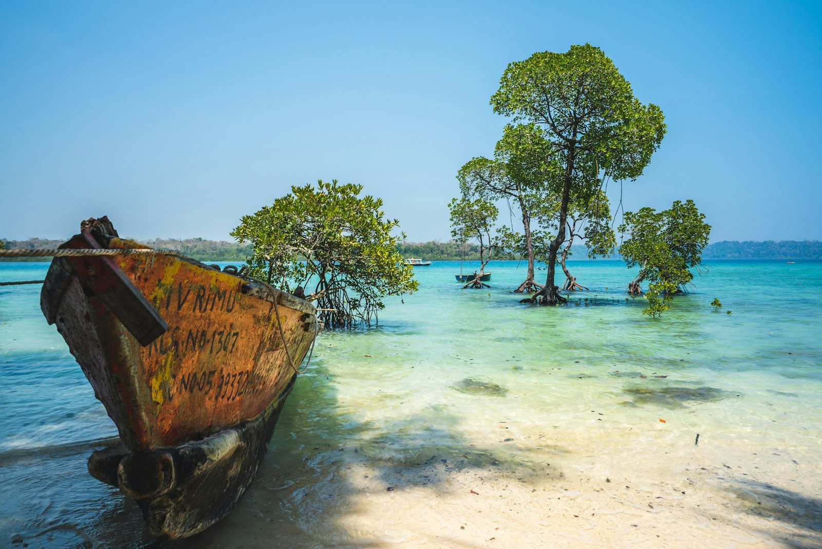 An old boat and trees standing in clear turquoise water, Andaman Islands