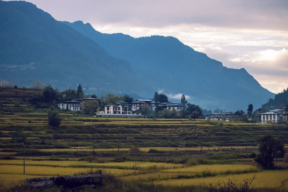 Terraced fields in the Bhutan countryside