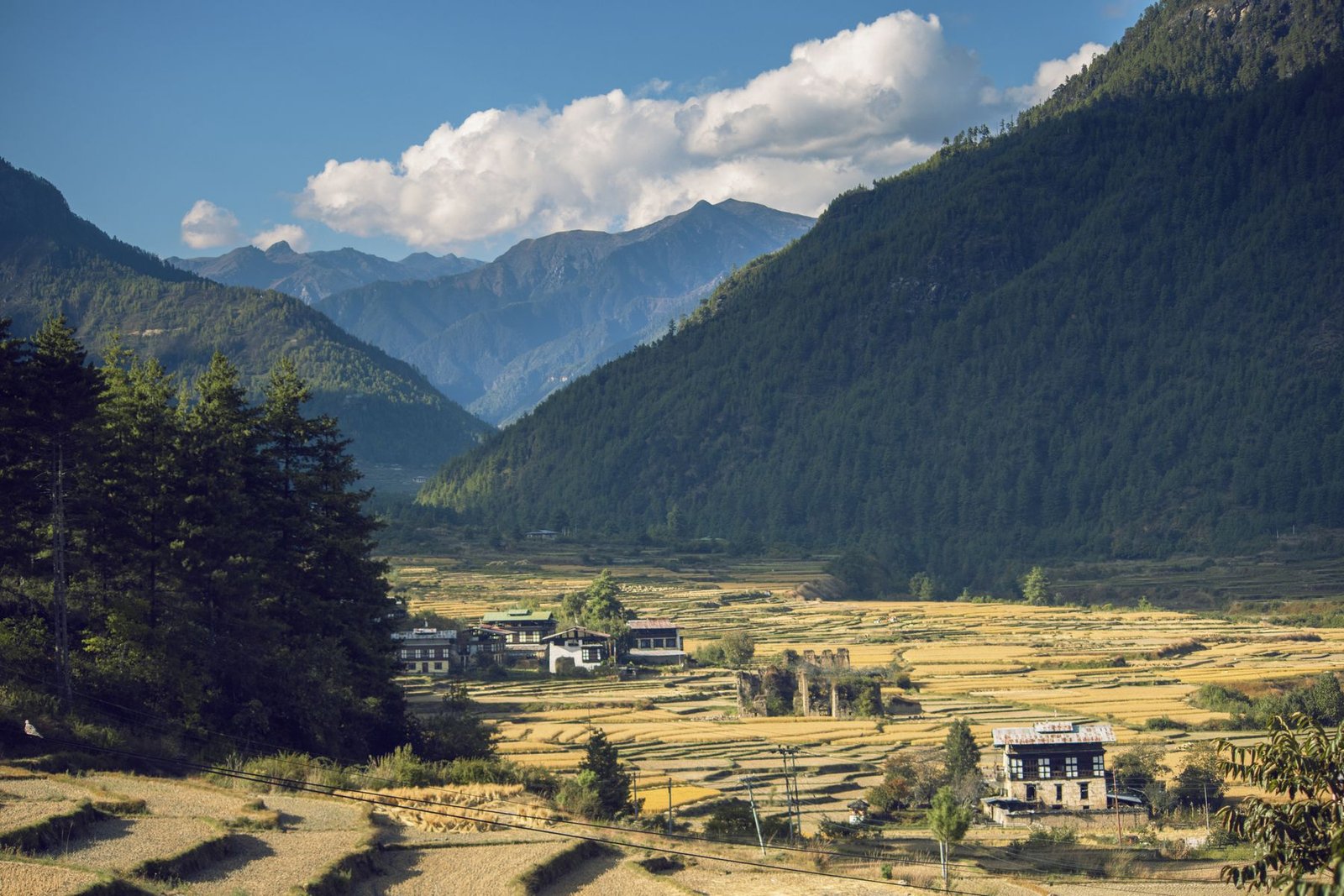 A village and autumn fields in a Bhutan valley