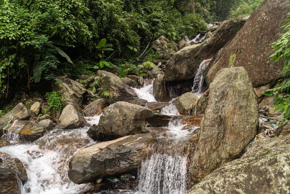 A waterfall in the Himalayan forest