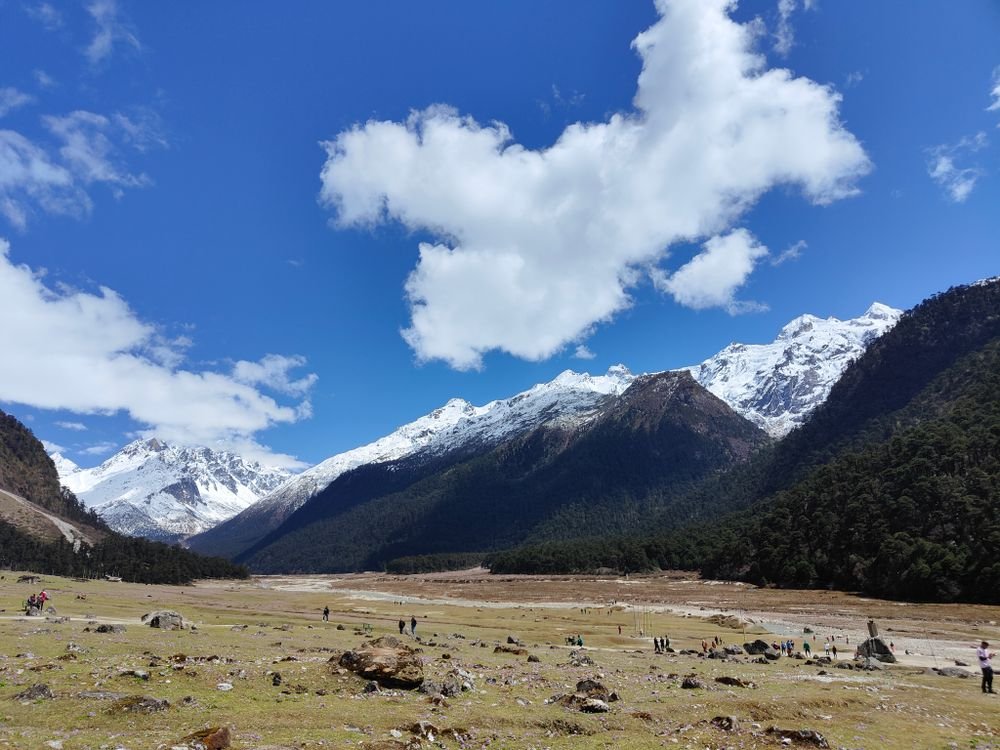 Yumthang Valley, North Sikkim