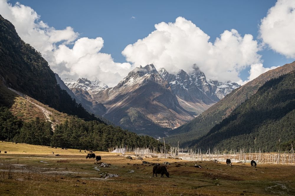 Snow peaks above Yumthang