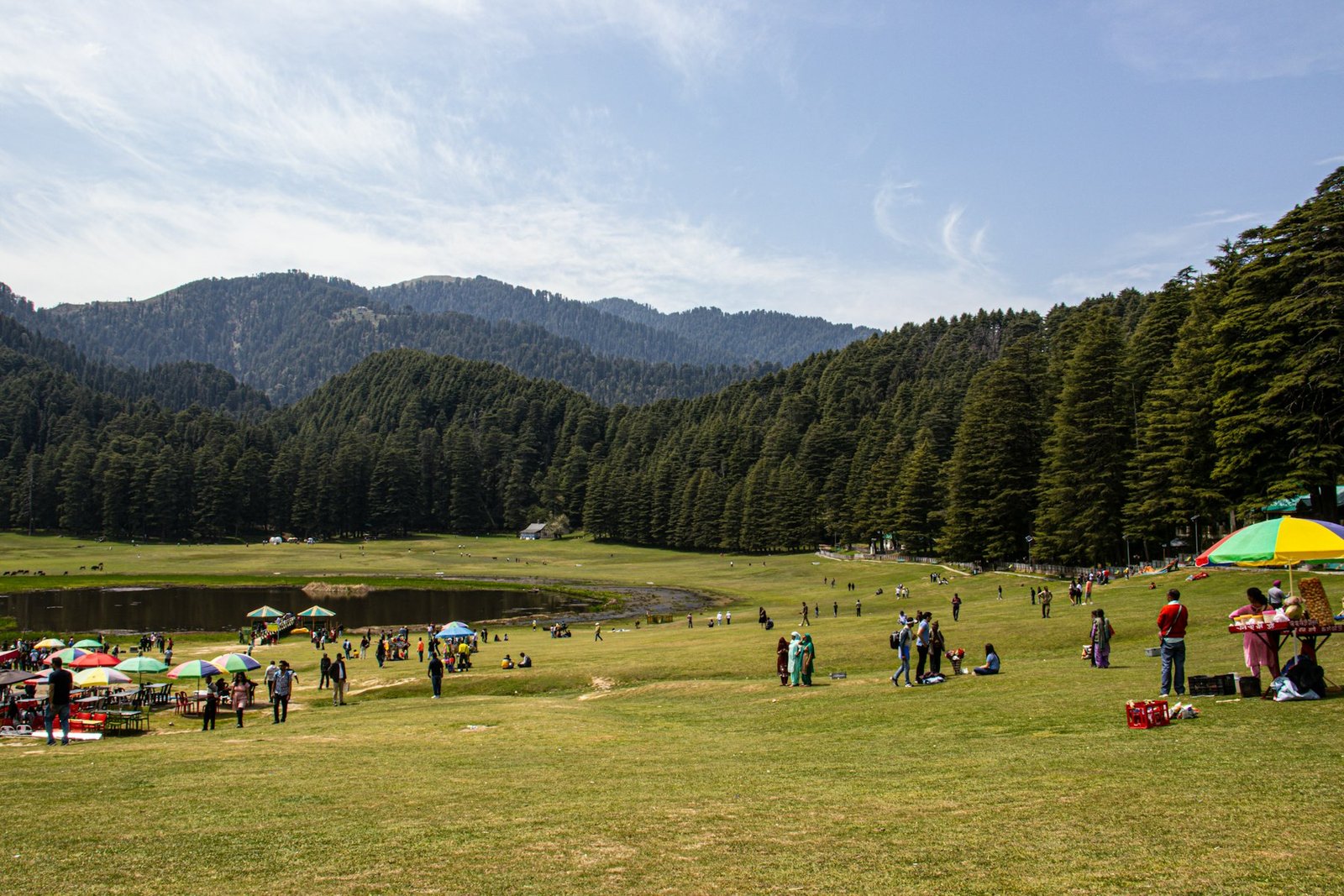 Khajjiar meadow, near Dalhousie