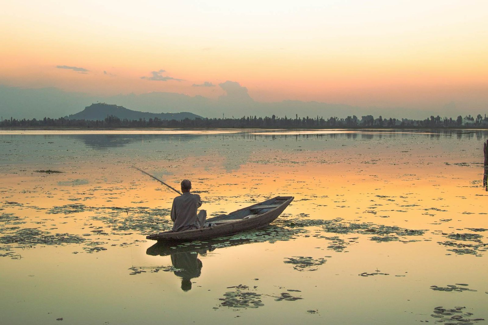 A shikara on Dal Lake, Srinagar, at golden hour