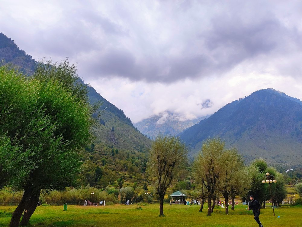 The Lidder valley near Pahalgam