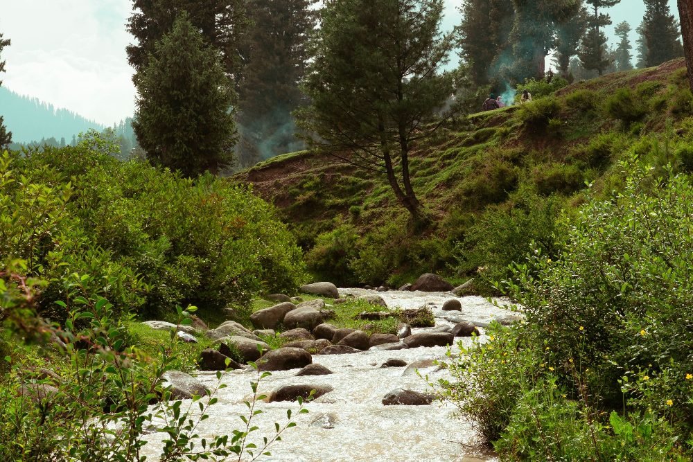 A mountain stream in Kashmir