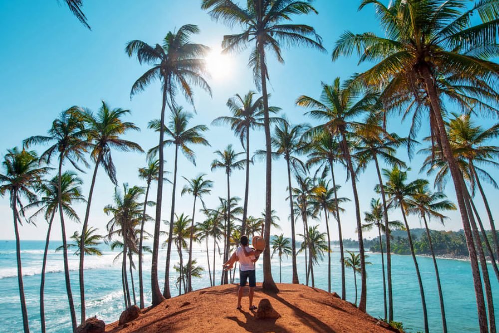 Coconut Tree Hill, Mirissa