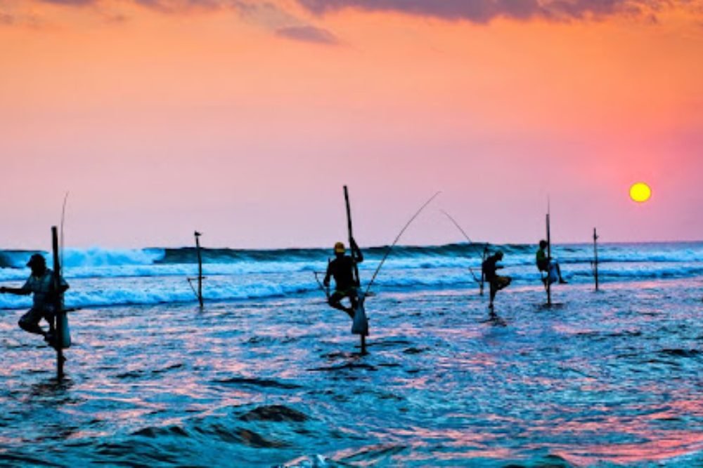 Stilt fishermen on the south coast