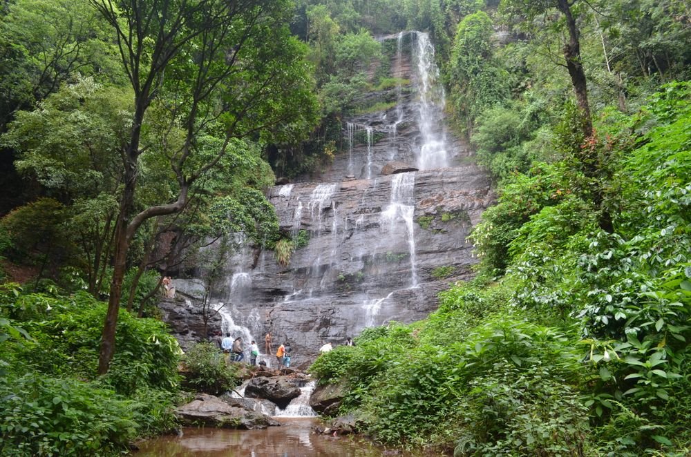 A waterfall in the forest