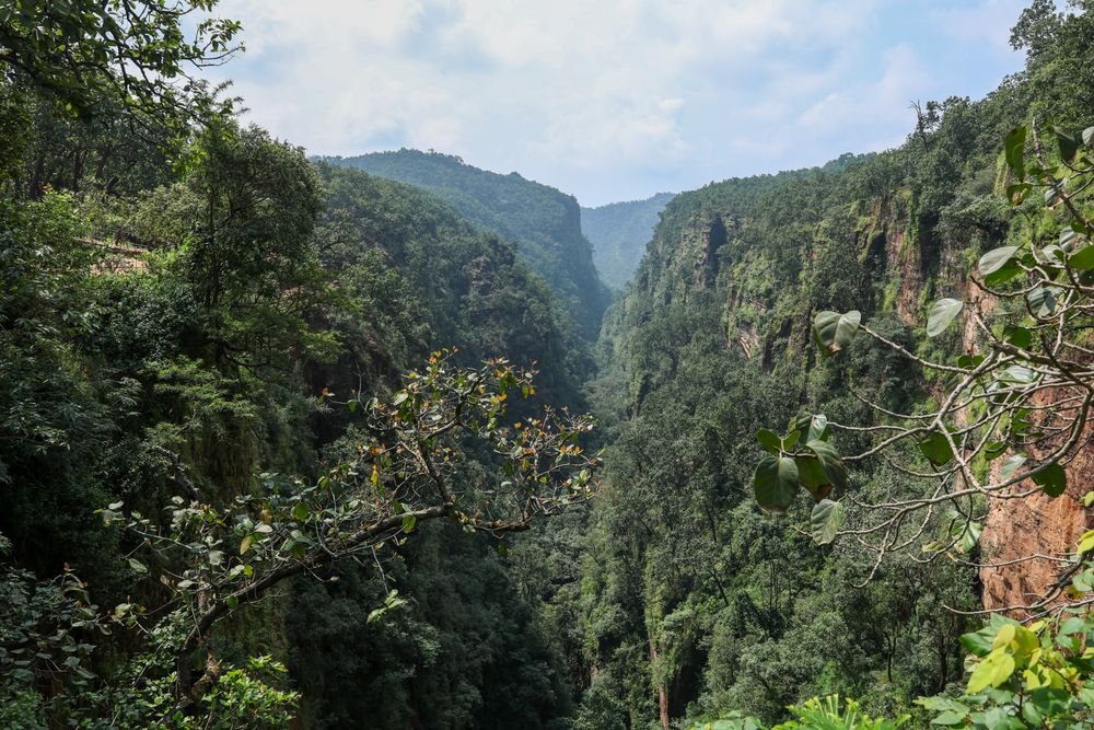 The green valleys of Pachmarhi