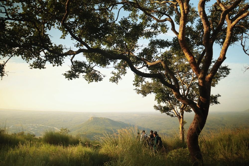 A green valley in Madhya Pradesh