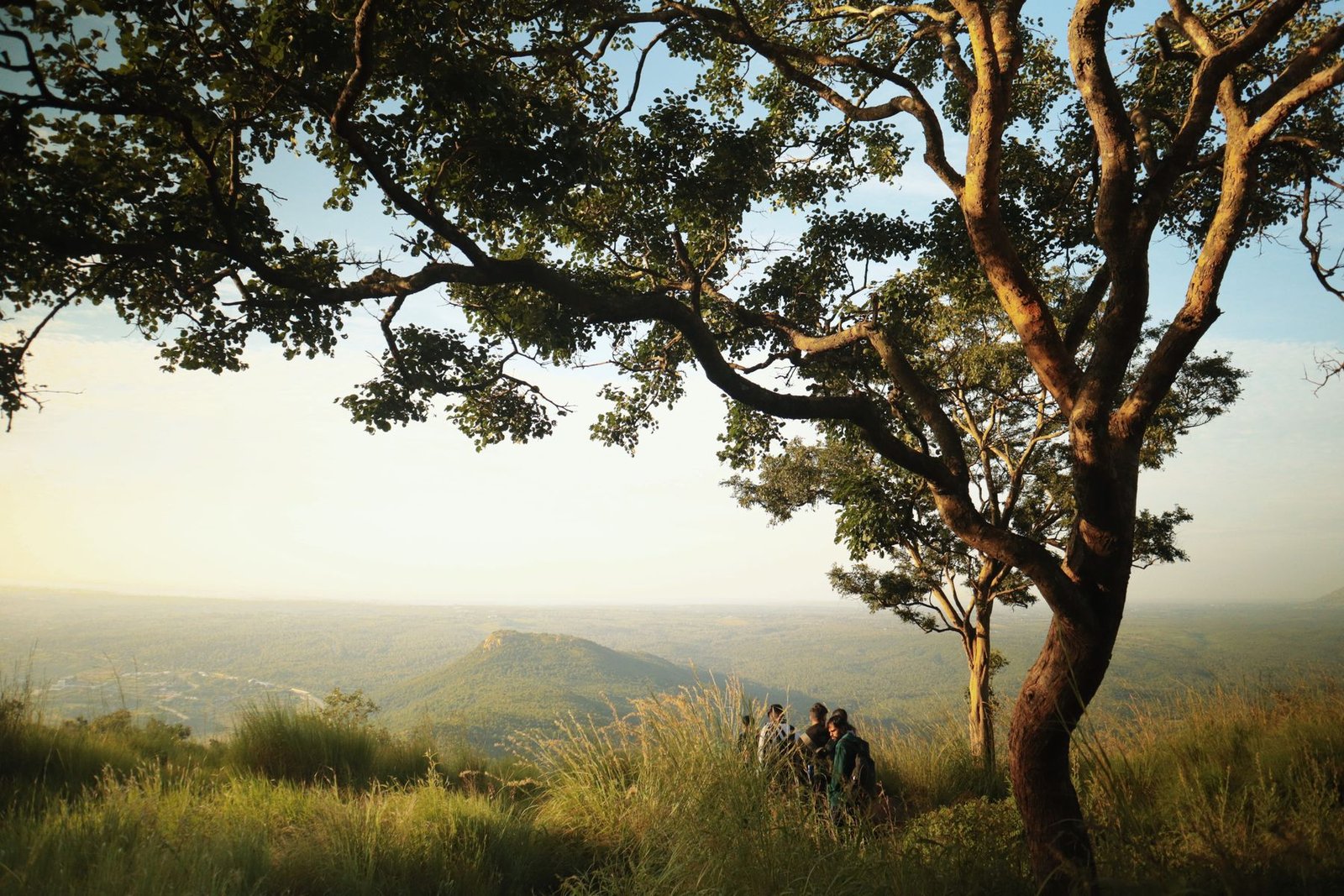 A green valley in Madhya Pradesh