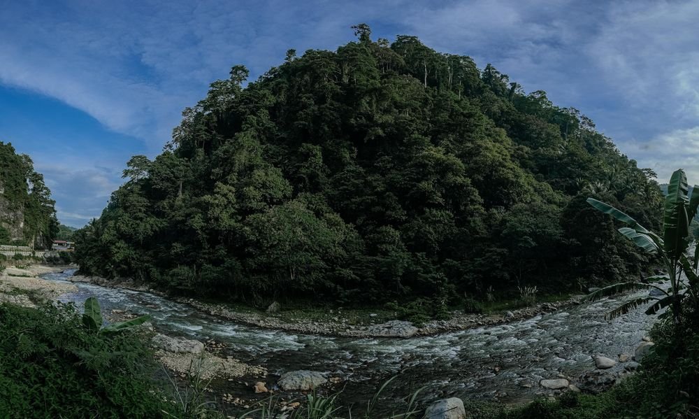 Forested hills above a mountain river