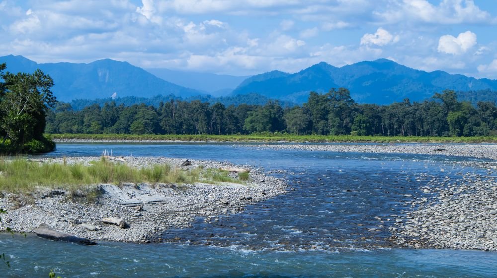 A forest river below the Himalayan foothills