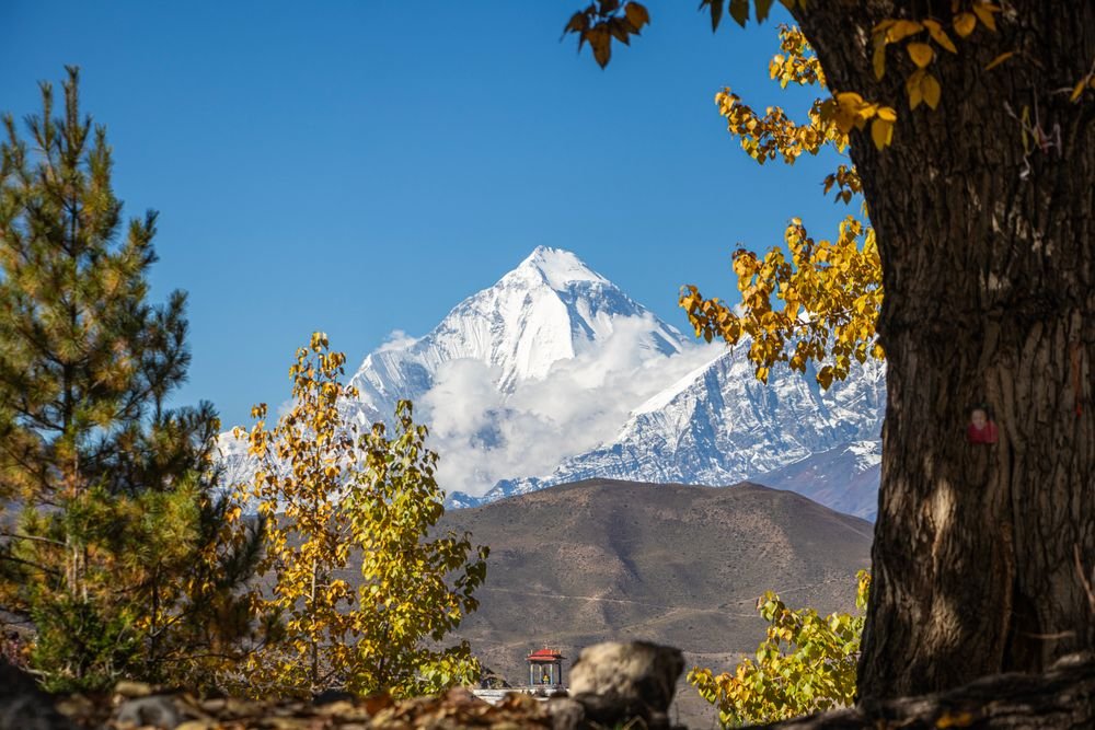 Dhaulagiri
