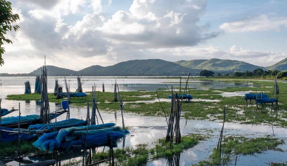 Chilika Lake