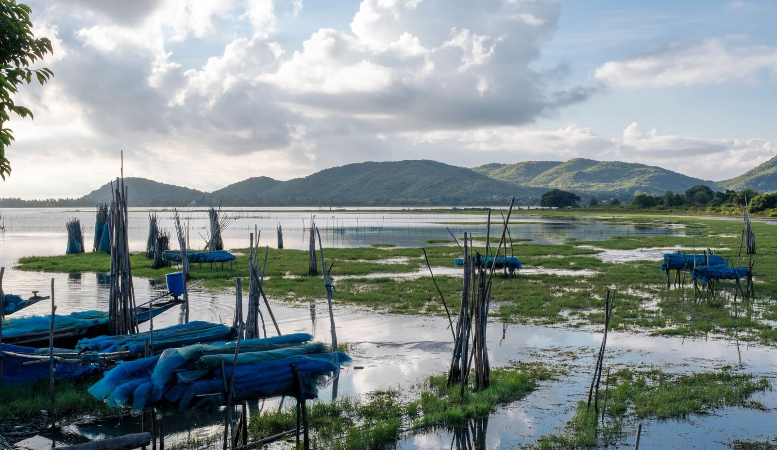 Chilika Lake
