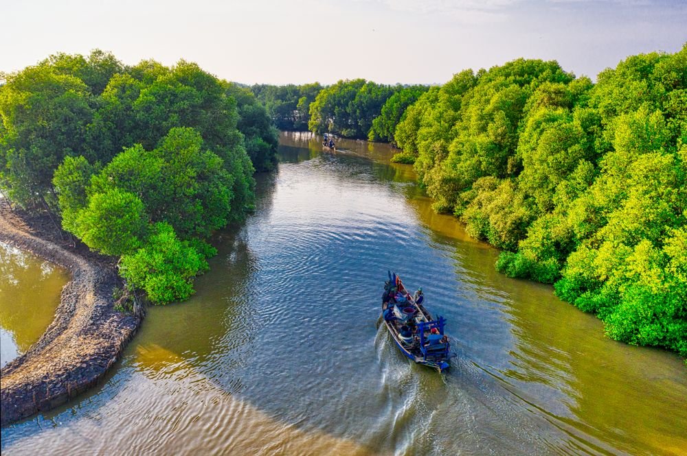 A boat in a mangrove creek