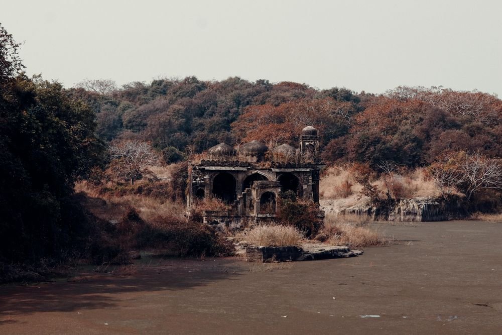 Old ruins by a lake in Ranthambore National Park