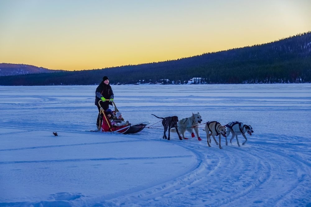 A husky sled team at sunset