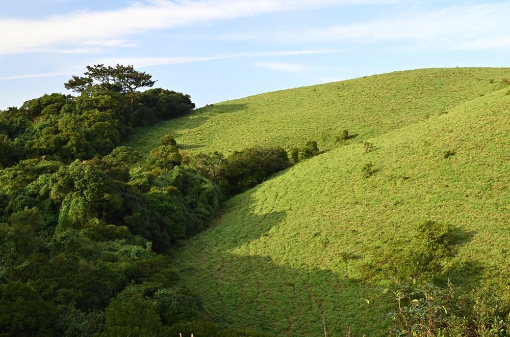 Green hills around Madikeri, Coorg