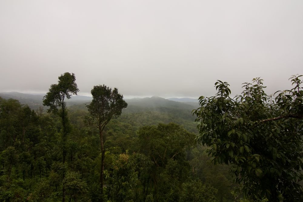Morning mist over Madikeri, Coorg