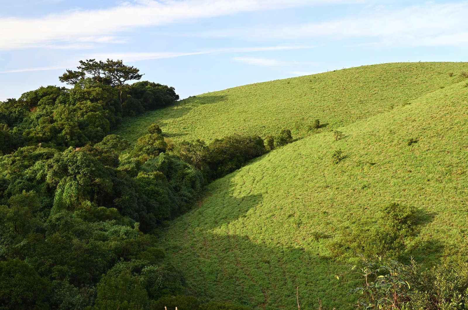 Green hills around Madikeri, Coorg