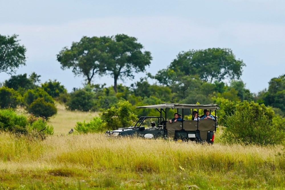 A safari vehicle in the bush