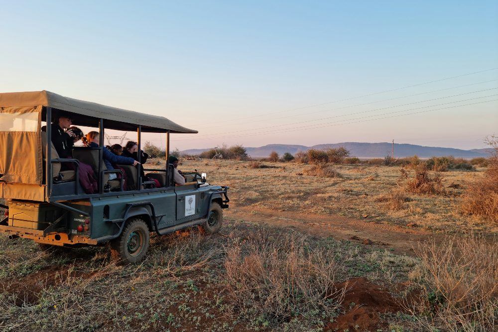 An evening game drive, South Africa