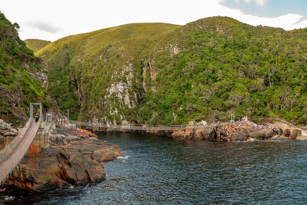 A suspension bridge on the Garden Route
